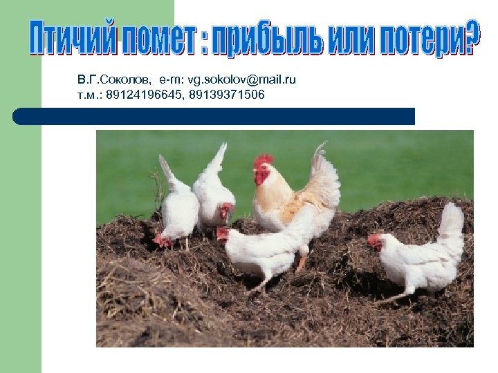 В. Г. Соколов, e-m: vg. sokolov@mail. ru т. м. : 89124196645, 89139371506 