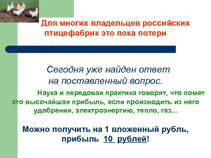  Для многих владельцев российских птицефабрик это пока потери Сегодня уже найден ответ на
