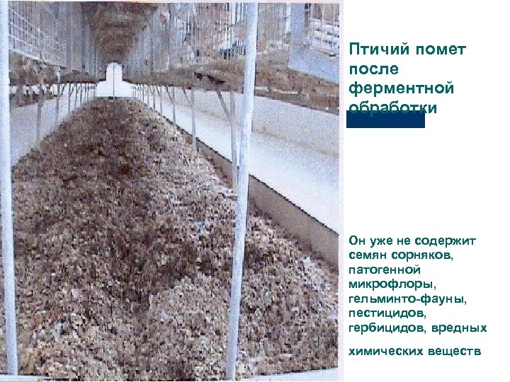 Птичий помет после ферментной обработки Он уже не содержит семян сорняков, патогенной микрофлоры, гельминто-фауны,