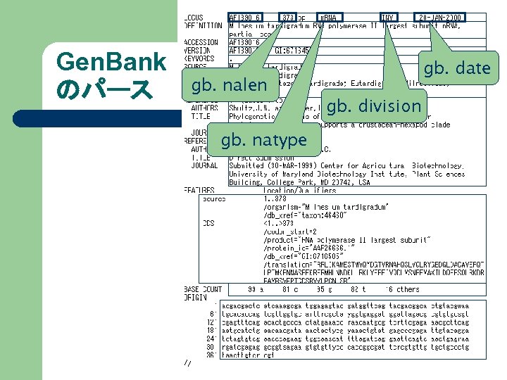 Gen. Bank のパース gb. date gb. nalen gb. division gb. natype 