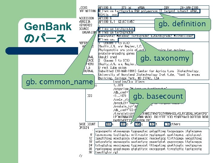 Gen. Bank のパース gb. definition gb. taxonomy gb. common_name gb. basecount 
