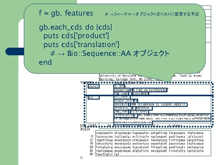 f = gb. features # →フィーチャーオブジェクトのリストに変更する予定 gb. each_cds Gen. Bank do |cds| puts cds['product']