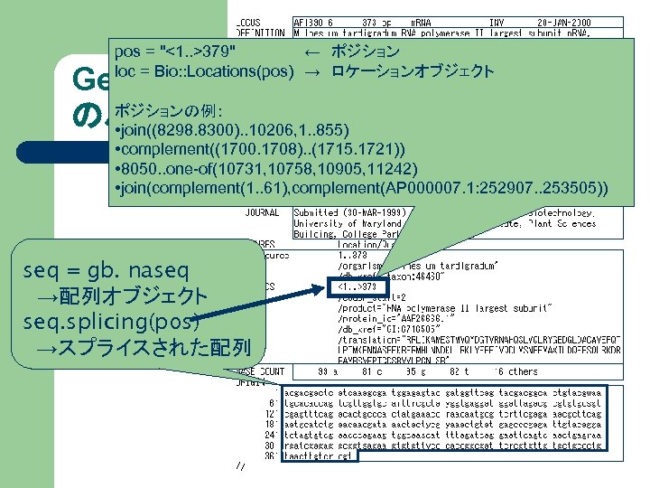 pos = "<1. . >379"　　　　　 　←　ポジション loc = Bio: : Locations(pos)　→　ロケーションオブジェクト Gen. Bank ポジションの例：