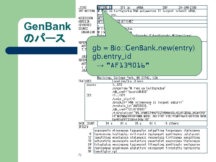 Gen. Bank のパース gb = Bio: : Gen. Bank. new(entry) gb. entry_id → "AF