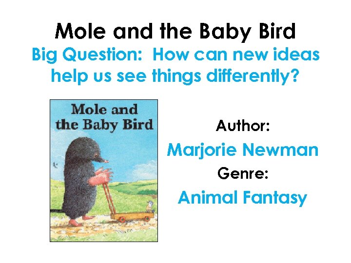 Mole and the Baby Bird Big Question: How can new ideas help us see
