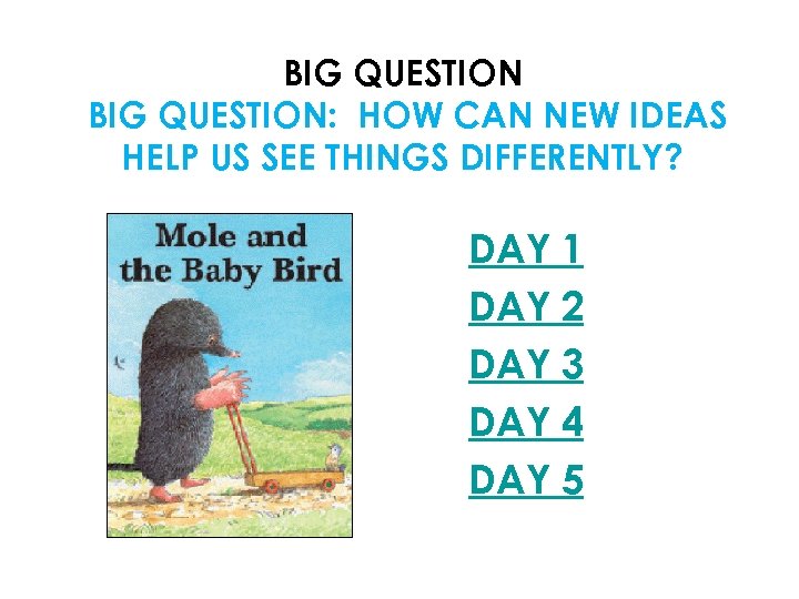 BIG QUESTION: HOW CAN NEW IDEAS HELP US SEE THINGS DIFFERENTLY? DAY 1 DAY