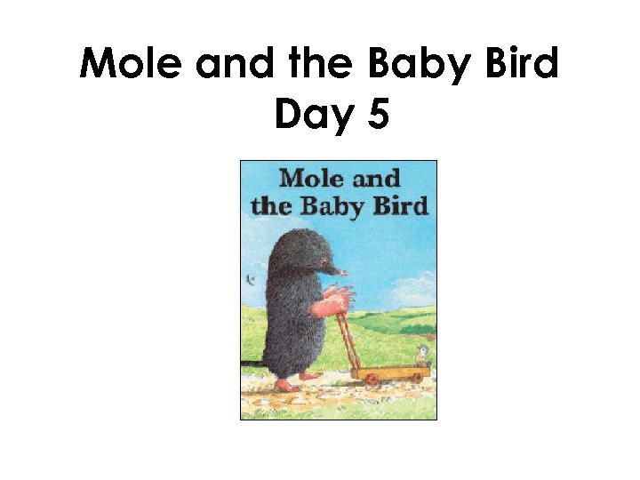 Mole and the Baby Bird Day 5 