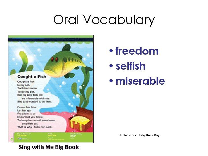Oral Vocabulary • freedom • selfish • miserable Unit 5 Mole and Baby Bird