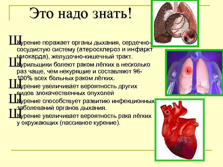 Это надо знать! Ш поражает органы дыхания, сердечно. Курение сосудистую систему (атеросклероз и инфаркт