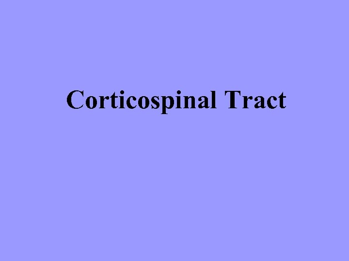 Corticospinal Tract 