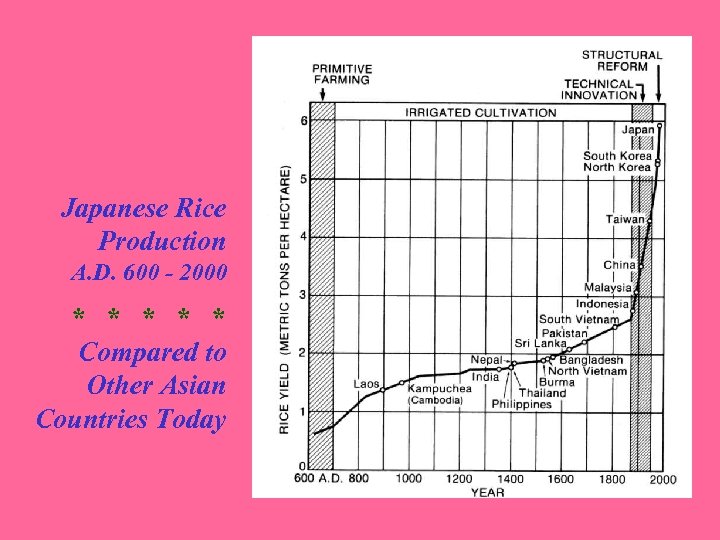 Japanese Rice Production A. D. 600 - 2000 * * * Compared to Other