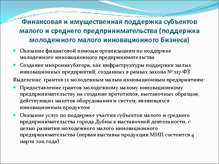 Финансовая и имущественная поддержка субъектов малого и среднего предпринимательства (поддержка молодежного малого инновационного бизнеса)