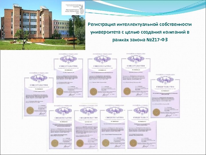 Регистрация интеллектуальной собственности университета с целью создания компаний в рамках закона № 217 -ФЗ