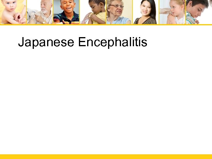 Japanese Encephalitis 