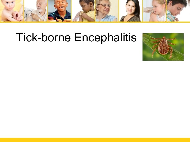 Tick-borne Encephalitis 