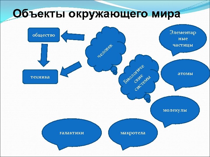 Объекты окружающего мира Элементар ные частицы общество к е ов л че че и