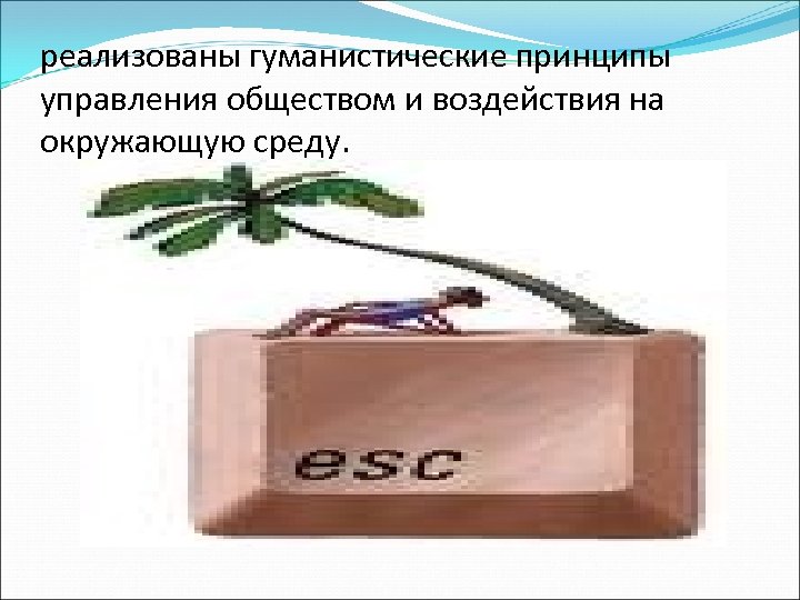 реализованы гуманистические принципы управления обществом и воздействия на окружающую среду. 