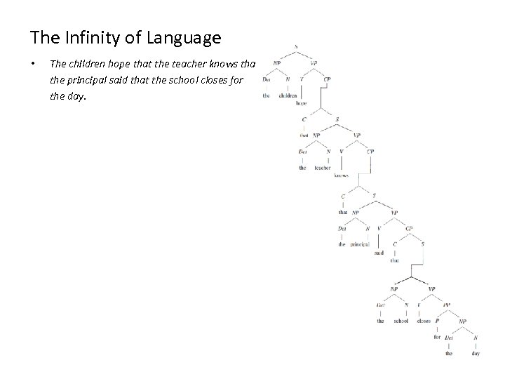 The Infinity of Language • The children hope that the teacher knows that the