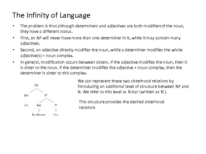 The Infinity of Language • • The problem is that although determiners and adjectives