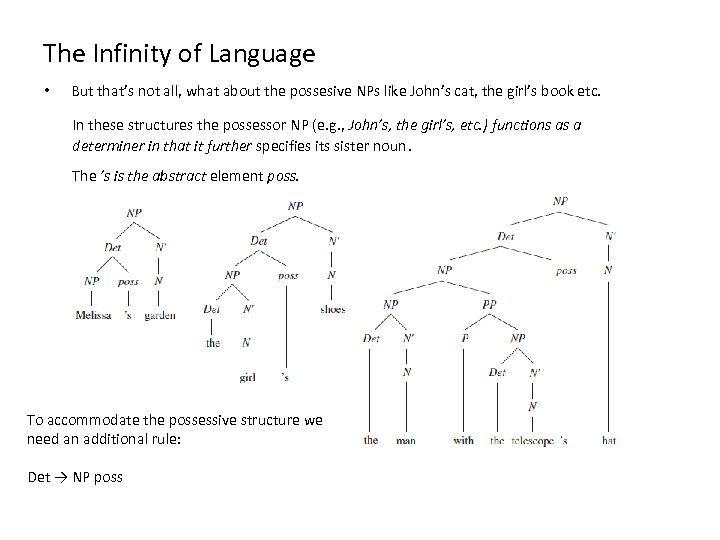 The Infinity of Language • But that’s not all, what about the possesive NPs