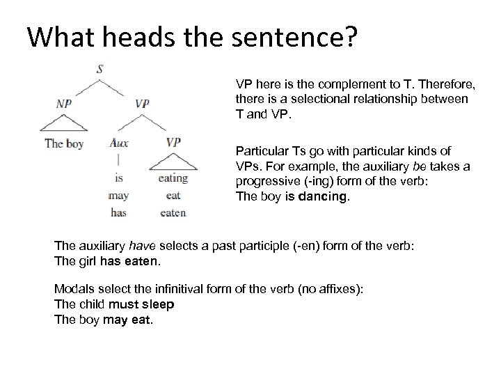 What heads the sentence? VP here is the complement to T. Therefore, there is