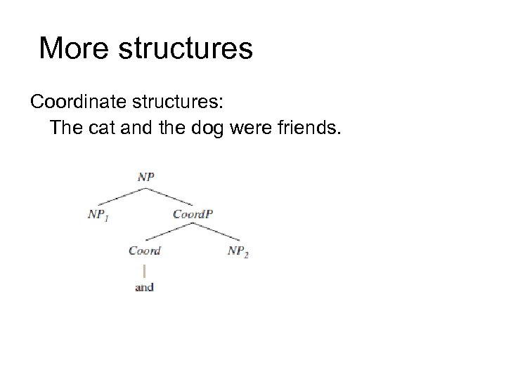 More structures Coordinate structures: The cat and the dog were friends. 