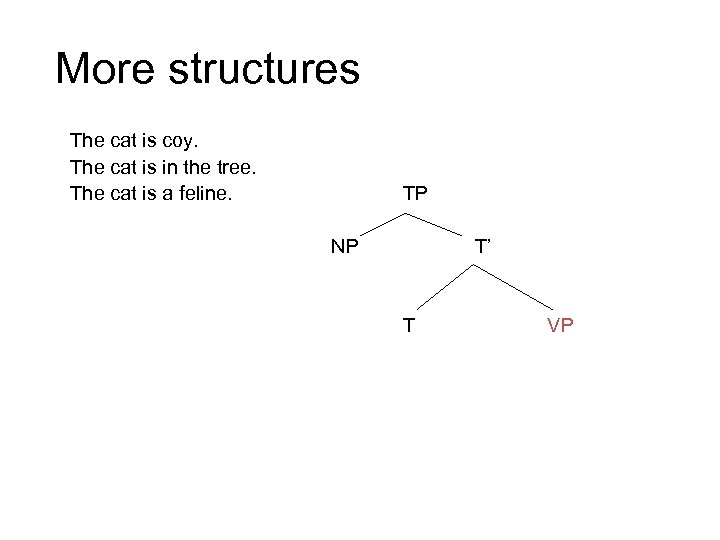 More structures The cat is coy. The cat is in the tree. The cat