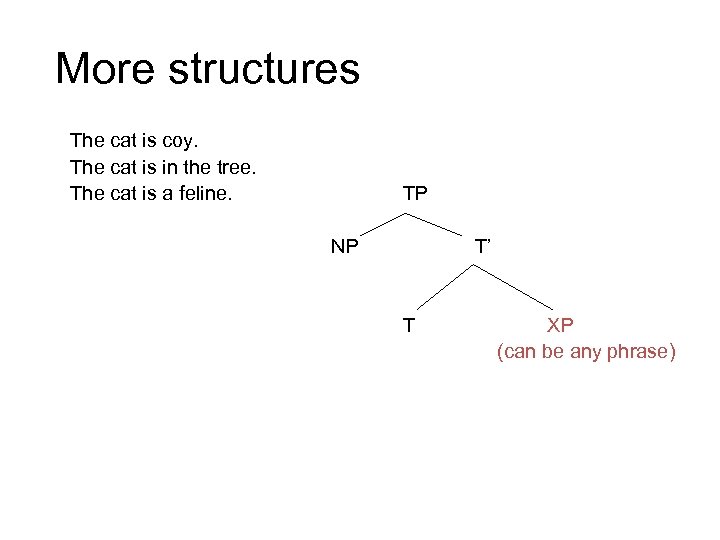 More structures The cat is coy. The cat is in the tree. The cat