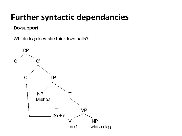 Further syntactic dependancies Do-support Which dog does she think love balls? CP C C’