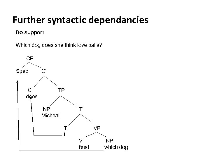 Further syntactic dependancies Do-support Which dog does she think love balls? CP Spec C