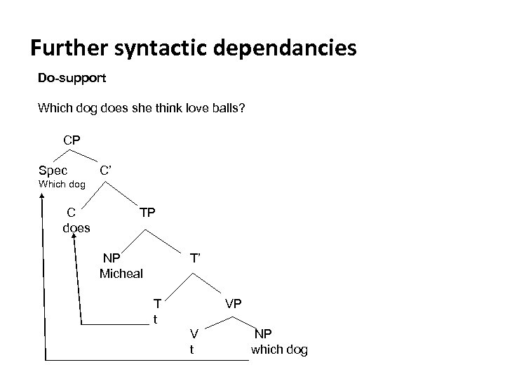 Further syntactic dependancies Do-support Which dog does she think love balls? CP Spec C’