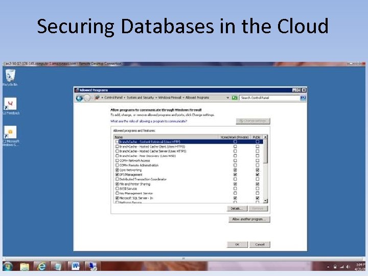 Securing Databases in the Cloud 