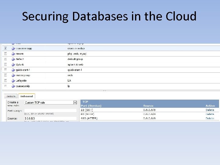 Securing Databases in the Cloud 