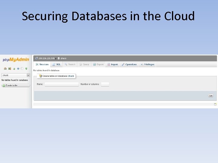 Securing Databases in the Cloud 
