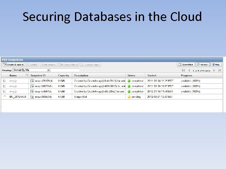 Securing Databases in the Cloud 