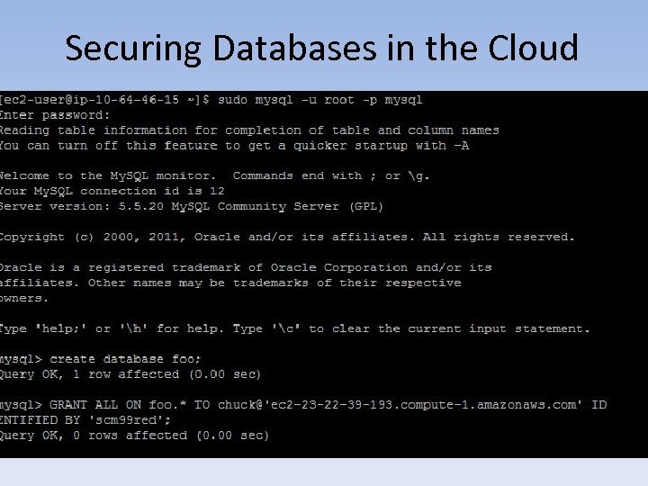Securing Databases in the Cloud 