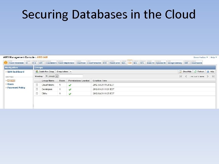 Securing Databases in the Cloud 