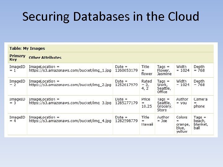Securing Databases in the Cloud 