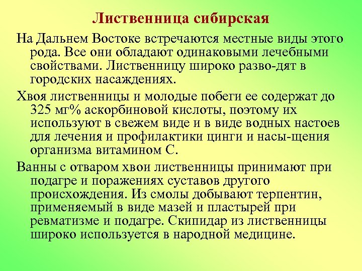 Лиственница сибирская На Дальнем Востоке встречаются местные виды этого рода. Все они обладают одинаковыми