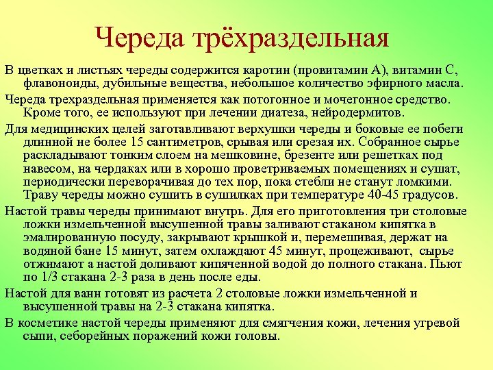 Череда трёхраздельная В цветках и листьях череды содержится каротин (провитамин А), витамин С, флавоноиды,