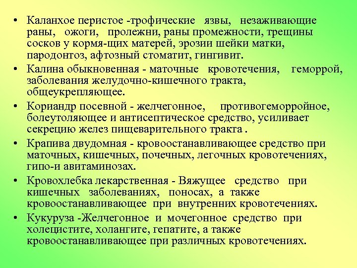  • Каланхое перистое трофические язвы, незаживающие раны, ожоги, пролежни, раны промежности, трещины сосков