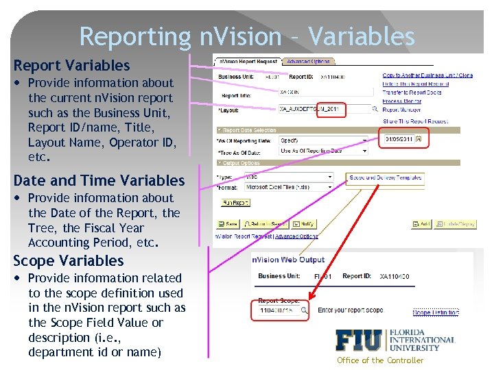 Reporting n. Vision – Variables Report Variables Provide information about the current n. Vision