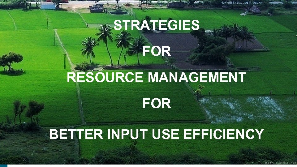 STRATEGIES FOR RESOURCE MANAGEMENT FOR BETTER INPUT USE EFFICIENCY 