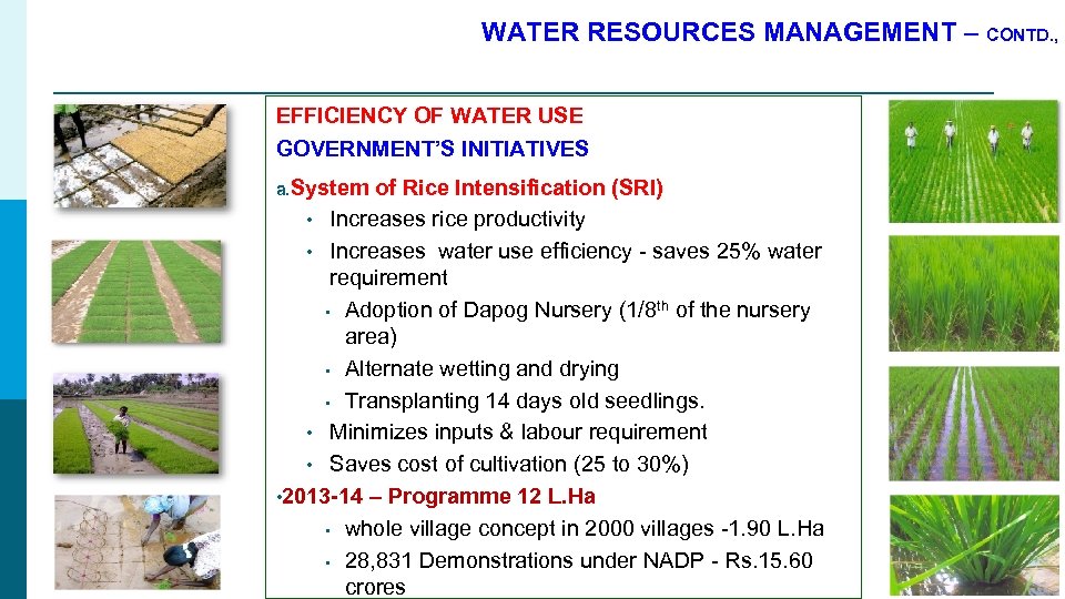 WATER RESOURCES MANAGEMENT – CONTD. , EFFICIENCY OF WATER USE GOVERNMENT’S INITIATIVES a. System