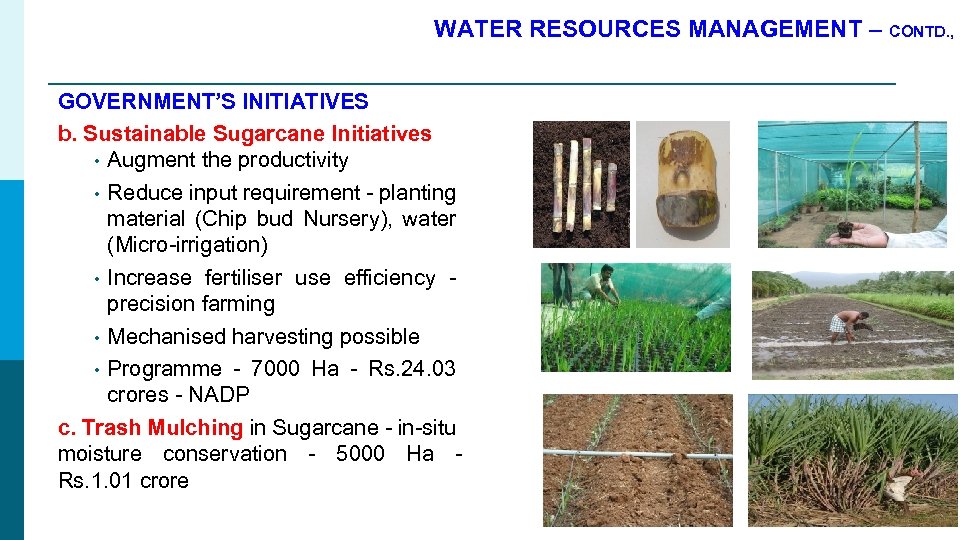 WATER RESOURCES MANAGEMENT – CONTD. , GOVERNMENT’S INITIATIVES b. Sustainable Sugarcane Initiatives • Augment