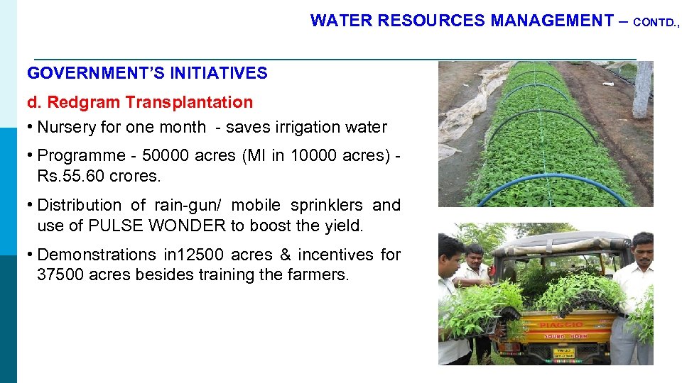 WATER RESOURCES MANAGEMENT – CONTD. , GOVERNMENT’S INITIATIVES d. Redgram Transplantation • Nursery for
