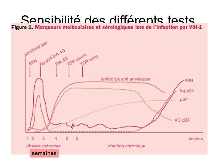 Sensibilité des différents tests semaines 