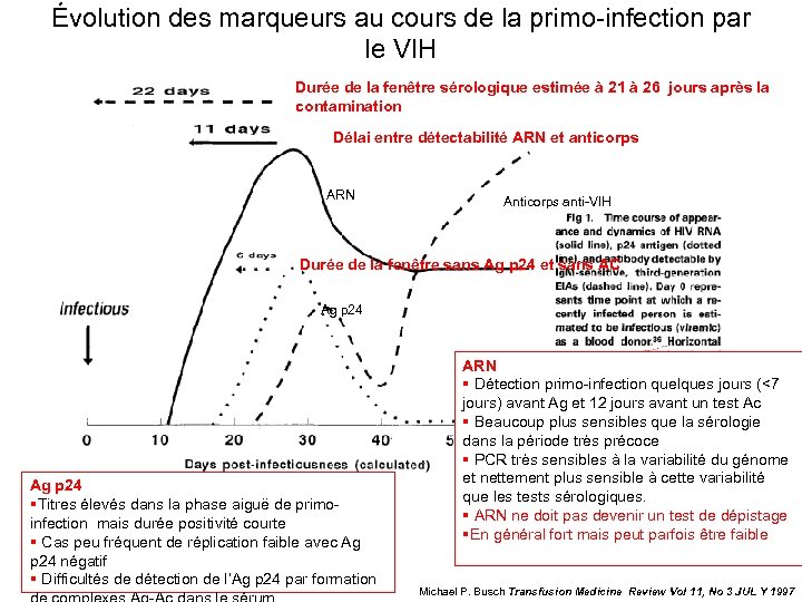 Évolution des marqueurs au cours de la primo-infection par le VIH Durée de la