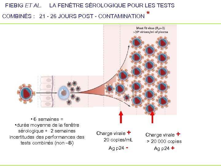  FIEBIG ET AL. LA FENÊTRE SÉROLOGIQUE POUR LES TESTS COMBINÉS : 21 -