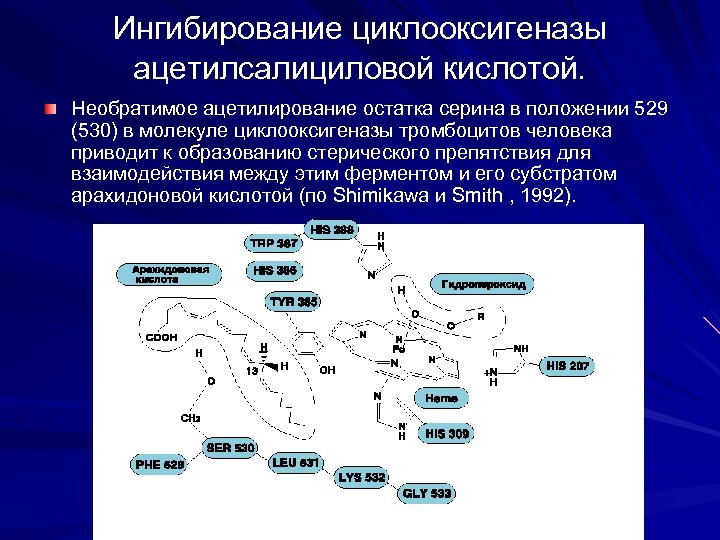 Ингибирование циклооксигеназы ацетилсалициловой кислотой. Необратимое ацетилирование остатка серина в положении 529 (530) в молекуле